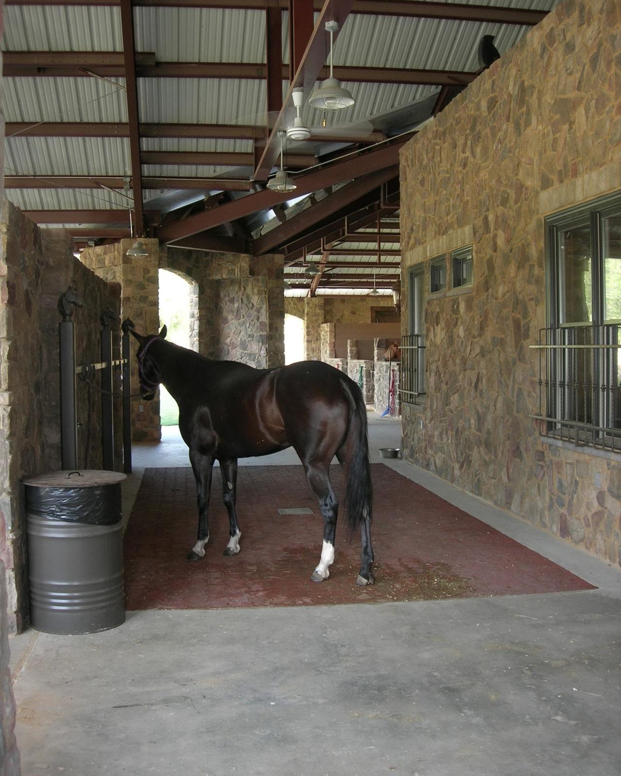 Horse in the stone-columned aisle of the Polo Barn